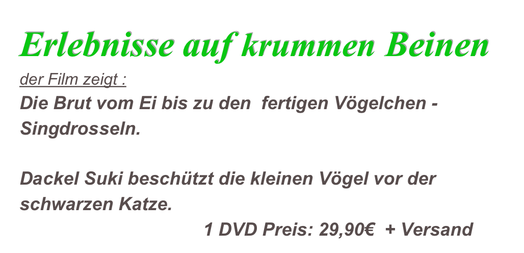 Erlebnisse auf krummen Beinen
der Film zeigt :
Die Brut vom Ei bis zu den  fertigen Vögelchen - Singdrosseln.

Dackel Suki beschützt die kleinen Vögel vor der schwarzen Katze.
                                    1 DVD Preis: 29,90€  + Versand